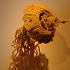 Discomedusa 1