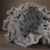 Shell (view 2)