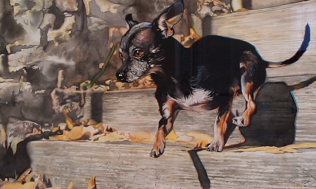 Nude Descending a Staircase (Toby Chihuahua)