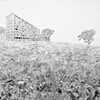 Pamela Valfer
Landscape Simulation: Little House on the Prairie / Good Times (Cabrini Green)