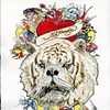 Downs Syndrome Tiger / Ed Hardy