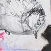 Graffiti Dove