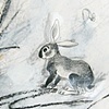 rabbit hole