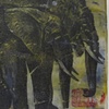 Thanks Dad Elephants