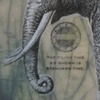 Filing Elephant