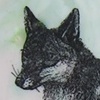 Fox on Stilts