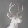 White Stag 