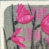 Windflowers