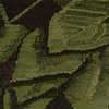 Hosta