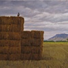 Surveyor