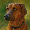 Jake