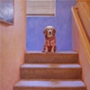Housedog