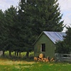 Woodshed
