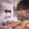 Moose