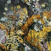 Untitled (amber, sea creatures)