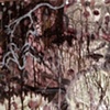 Untitled (jelly,rat)