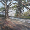 Shadows at Lowndes Grove