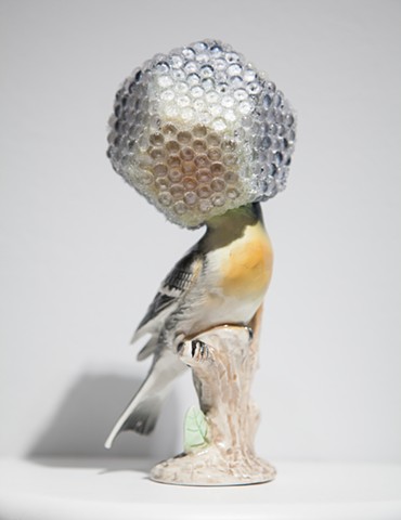 Camouflage XVIII (Hurricane Helmet for Critically Endangered Montserrat Oriole)