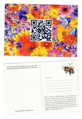 Postcard from A Place of Light & Wind (for Lost Prairies)
