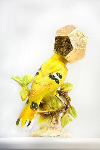 Camouflage XXVI (Poacher Protection for Threatened Chinese Black-naped Oriole)