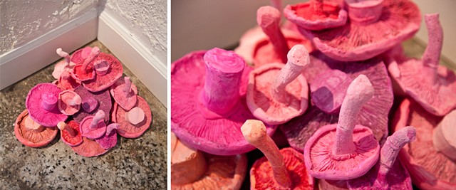 Fungi for Fungi