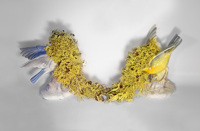 Camouflage XXXV (Pair Bond IV - Poisonous Lichen Mutual Veil)