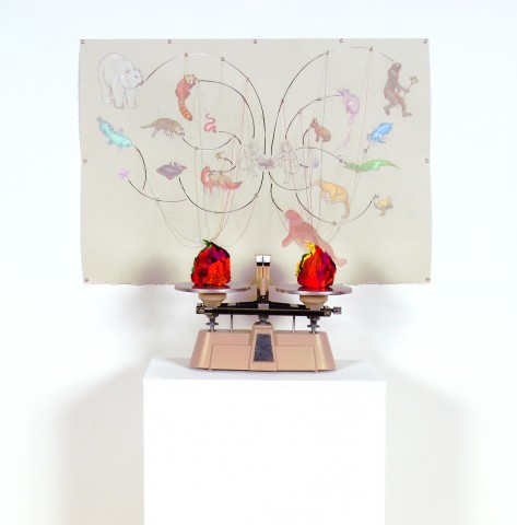 Painting / Sculpture of a scientific beam balance attached to a schematic drawing of organisms and species by Jenny Kendler