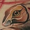 - Tattoos - 