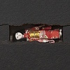 Hinamatsuri (detail)

Photo Credit: David Harrison