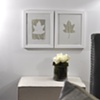 positive and negative maple leaf