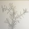 Rosemary 