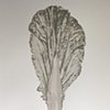 single bok choy sketch