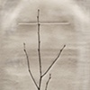 Branch 5