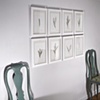 spear fern wall
