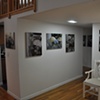 before New York art show A Pursuit in Flora