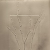 Branch inkless