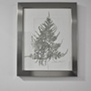 Pewter Airfern