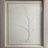 branch monoprint with linen frame
