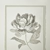 Drawings
