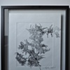 left medium Black Airfern