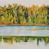Landscapes 