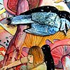 Paintings