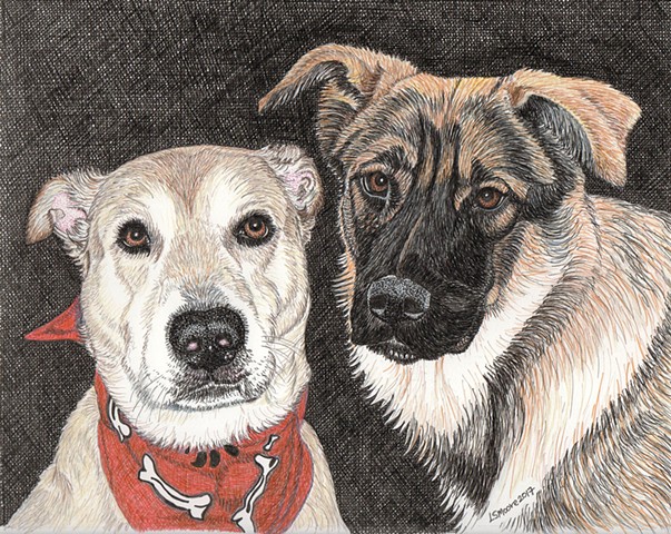 a colored pen and ink & colored pencil drawing of a yellow Labrador retriever mix and an elkhound/German shepherd mix by Leslie Moore of PenPets