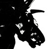 Horse black mane