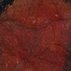 Red Rhino