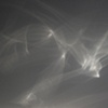 Collaborative Photographs