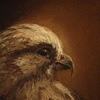 Birds Eye View