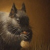 Bog o' Nuts
