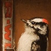 Sherwood Pecker