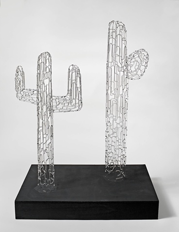 Saguaros
